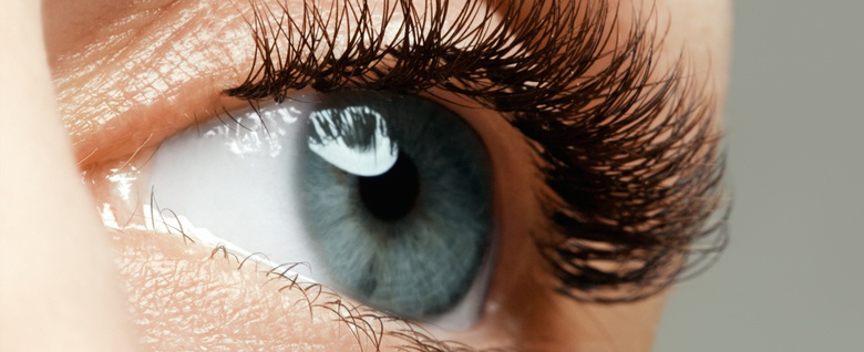 Budowa i funkcje rzęs